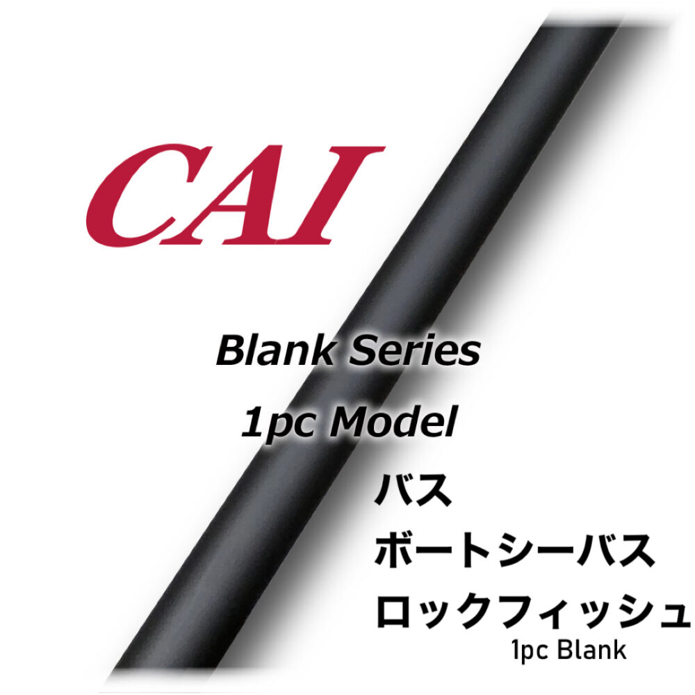 CAI 1pcs BLANK