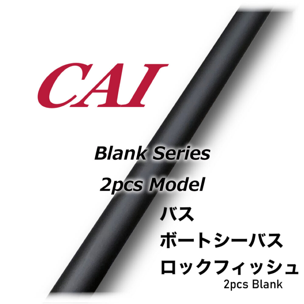 CAI 2pcs BLANK