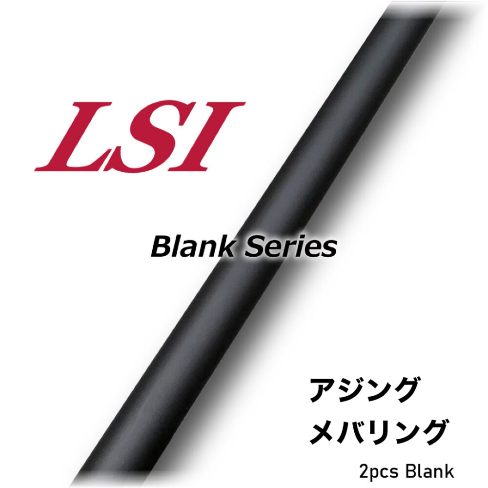 LSI BLANK