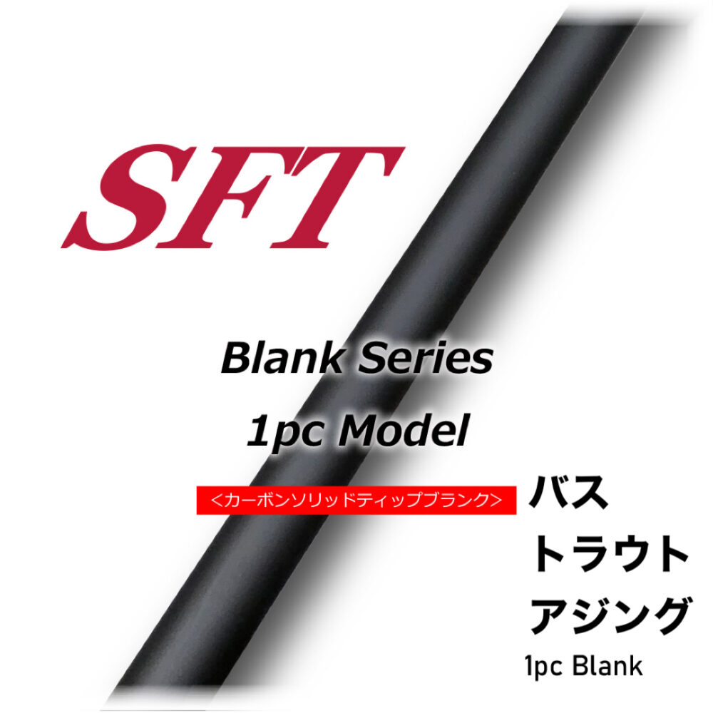 SFT 1pcs BLANK